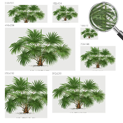 Hochwertige Bildtapete Exotisches Muster