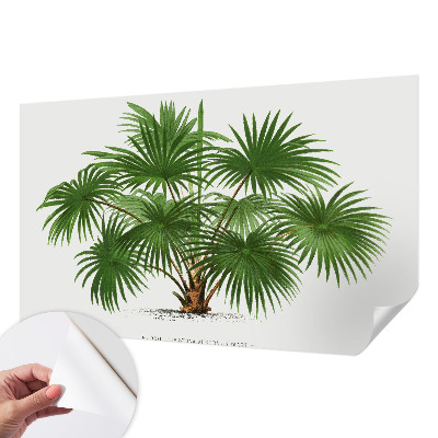 Hochwertige Bildtapete Exotisches Muster