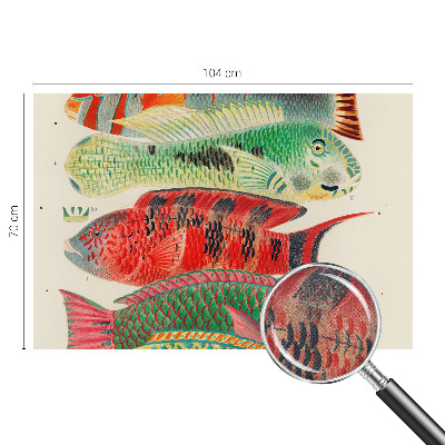 Selbstklebende Fototapete Exotische Fische