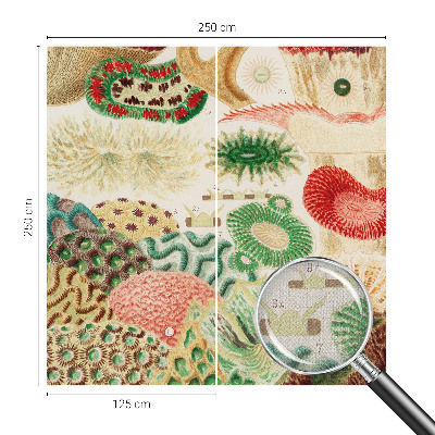 Selbstklebende Fototapete für die Wand Organische Formen