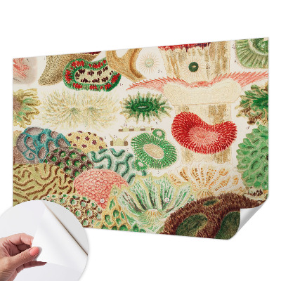 Selbstklebende Fototapete für die Wand Organische Formen