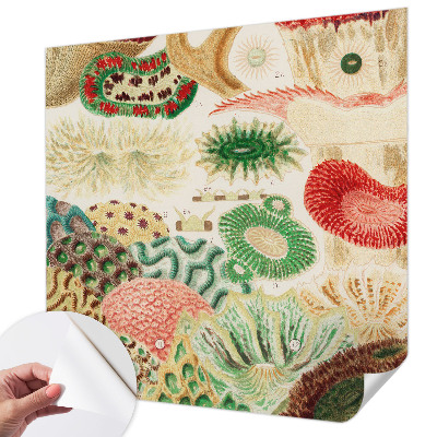 Selbstklebende Fototapete für die Wand Organische Formen