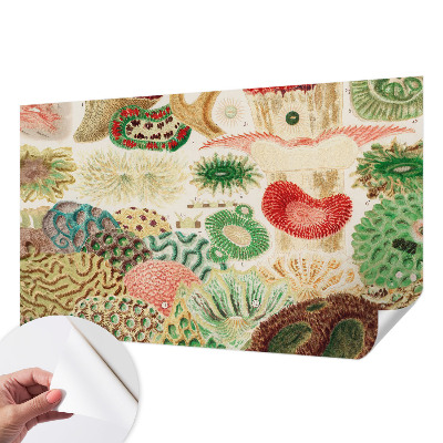 Selbstklebende Fototapete für die Wand Organische Formen