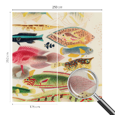 Selbstklebende Fototapete fürs Wohnzimmer Bunte Fische