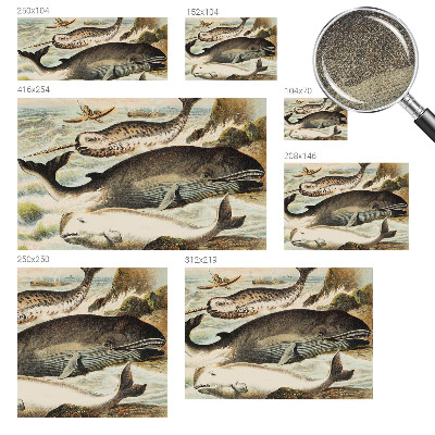 Selbstklebende Fototapete für die Wand Meeresriesen