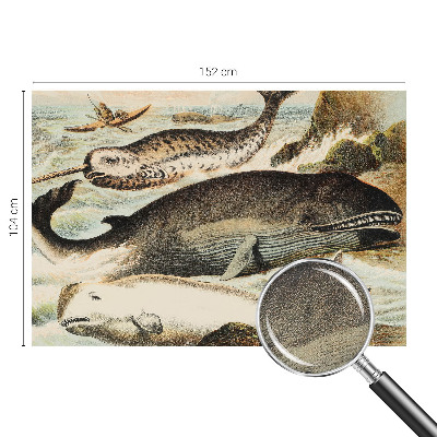 Selbstklebende Fototapete für die Wand Meeresriesen