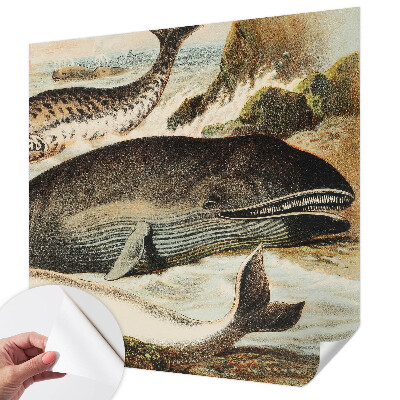 Selbstklebende Fototapete für die Wand Meeresriesen