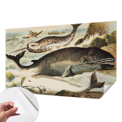 Selbstklebende Fototapete für die Wand Meeresriesen