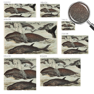 Selbstklebende Fototapete fürs Wohnzimmer Meerestiere