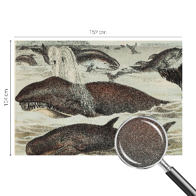 Selbstklebende Fototapete fürs Wohnzimmer Meerestiere