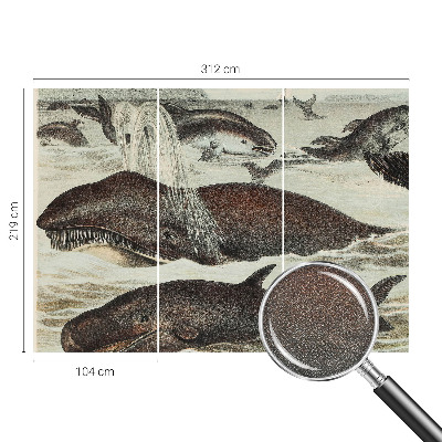 Selbstklebende Fototapete fürs Wohnzimmer Meerestiere