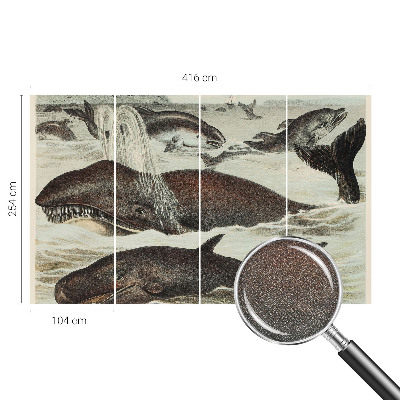 Selbstklebende Fototapete fürs Wohnzimmer Meerestiere