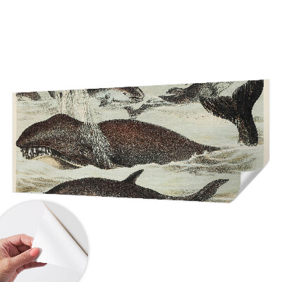 Selbstklebende Fototapete fürs Wohnzimmer Meerestiere