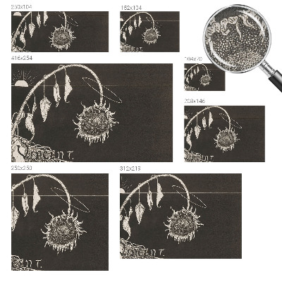 3D-Fototapete Nostalgische Sonnenblume