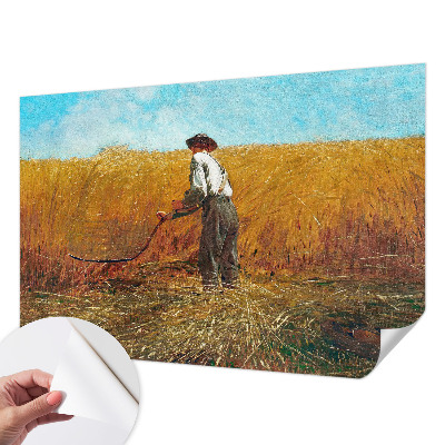 3D-Fototapete fürs Schlafzimmer Ernte in der Sonne