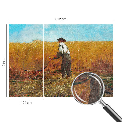 3D-Fototapete fürs Schlafzimmer Ernte in der Sonne