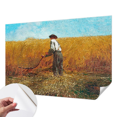 3D-Fototapete fürs Schlafzimmer Ernte in der Sonne