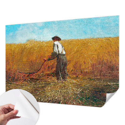 3D-Fototapete fürs Schlafzimmer Ernte in der Sonne