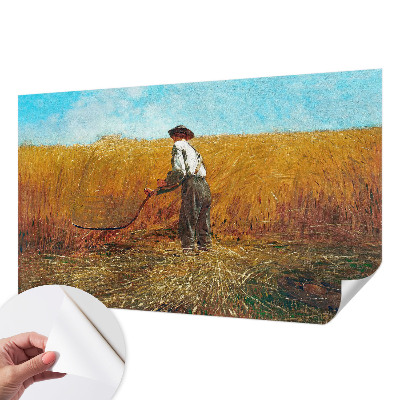 3D-Fototapete fürs Schlafzimmer Ernte in der Sonne