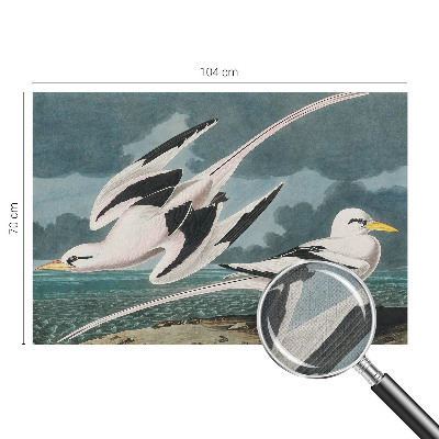 Fototapete in 3D-Optik Vögel am Meer