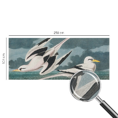 Fototapete in 3D-Optik Vögel am Meer