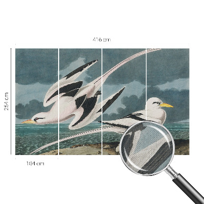 Fototapete in 3D-Optik Vögel am Meer