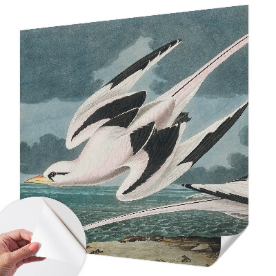 Fototapete in 3D-Optik Vögel am Meer