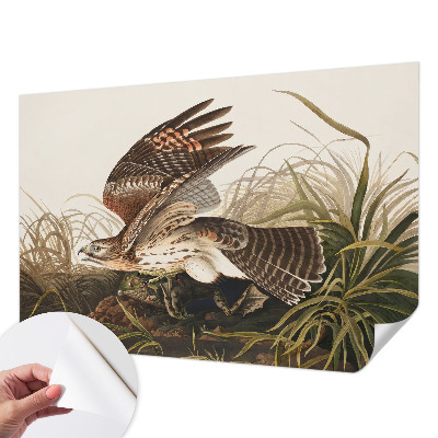 3D-Fototapete fürs Wohnzimmer Geflügelte Schönheit