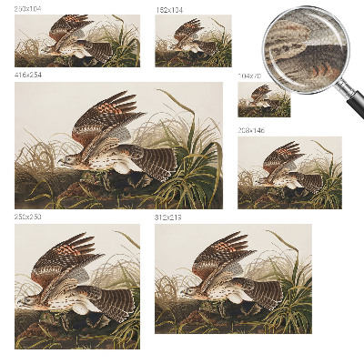 3D-Fototapete fürs Wohnzimmer Geflügelte Schönheit