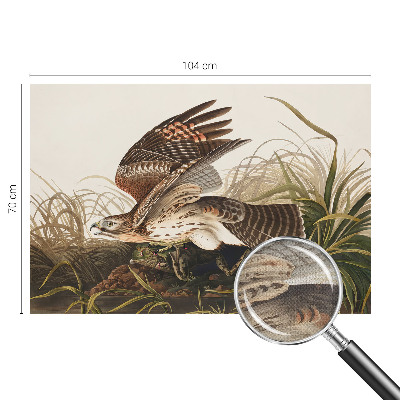 3D-Fototapete fürs Wohnzimmer Geflügelte Schönheit