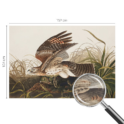 3D-Fototapete fürs Wohnzimmer Geflügelte Schönheit