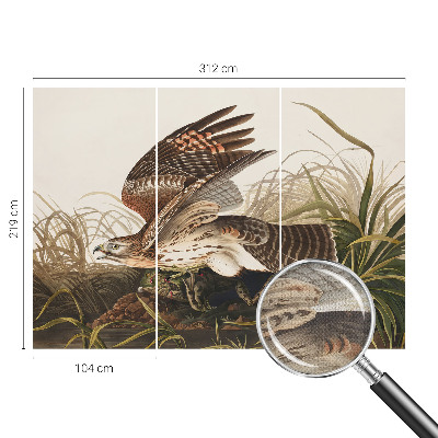 3D-Fototapete fürs Wohnzimmer Geflügelte Schönheit