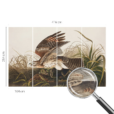 3D-Fototapete fürs Wohnzimmer Geflügelte Schönheit