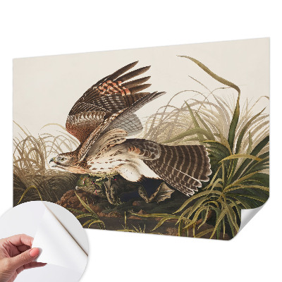 3D-Fototapete fürs Wohnzimmer Geflügelte Schönheit