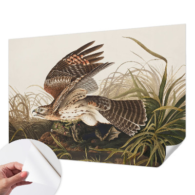 3D-Fototapete fürs Wohnzimmer Geflügelte Schönheit