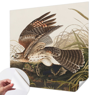 3D-Fototapete fürs Wohnzimmer Geflügelte Schönheit