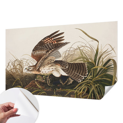 3D-Fototapete fürs Wohnzimmer Geflügelte Schönheit