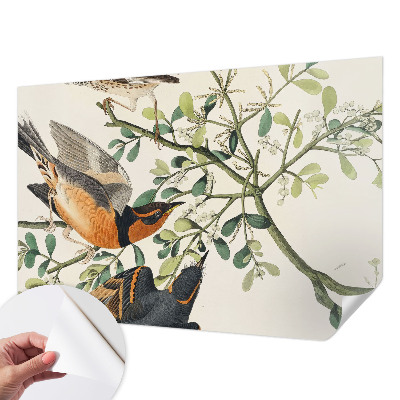 Moderne Fototapete nach Maß Bunte Vögel