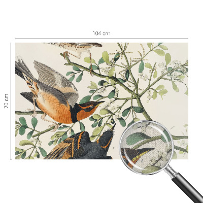 Moderne Fototapete nach Maß Bunte Vögel