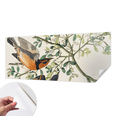 Moderne Fototapete nach Maß Bunte Vögel