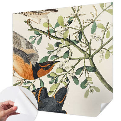 Moderne Fototapete nach Maß Bunte Vögel