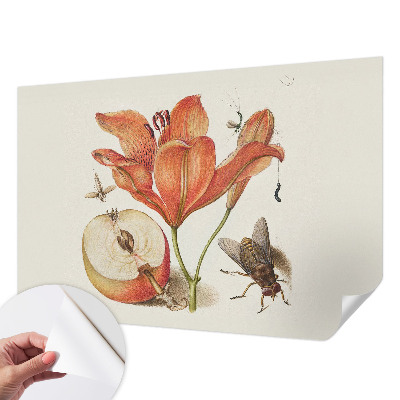 Selbstklebende Fototapete fürs Wohnzimmer Botanische Illustration