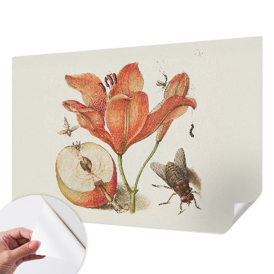 Selbstklebende Fototapete fürs Wohnzimmer Botanische Illustration