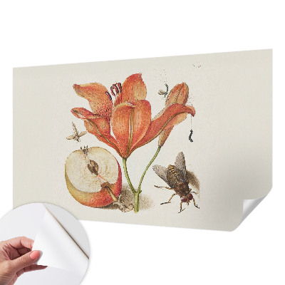 Selbstklebende Fototapete fürs Wohnzimmer Botanische Illustration
