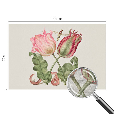 Selbstklebende Fototapete Tulpenschönheit