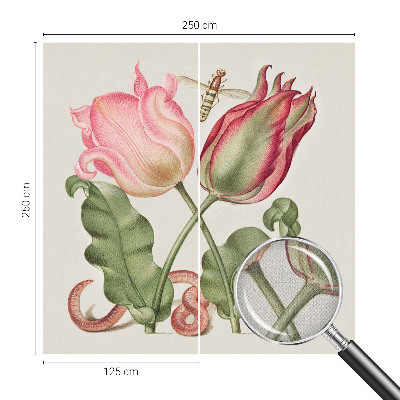 Selbstklebende Fototapete Tulpenschönheit