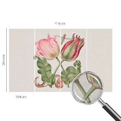 Selbstklebende Fototapete Tulpenschönheit