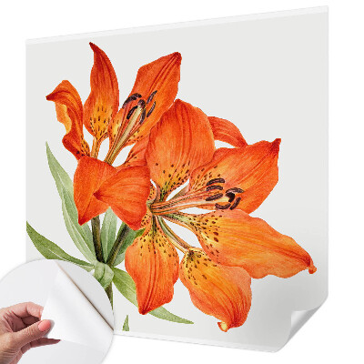 Selbstklebende Fototapete fürs Kinderzimmer Orangefarbene Lilie