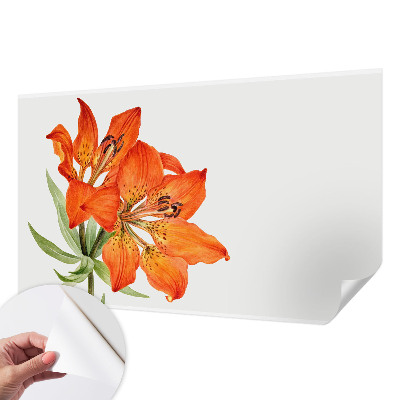 Selbstklebende Fototapete fürs Kinderzimmer Orangefarbene Lilie