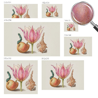 3D-Fototapete Natürliche Symbiose